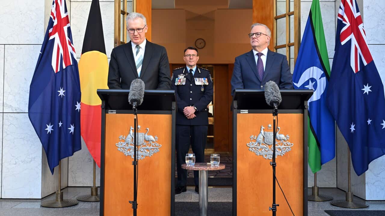 Tony Burke and Anthony Albanese standing at lecterns