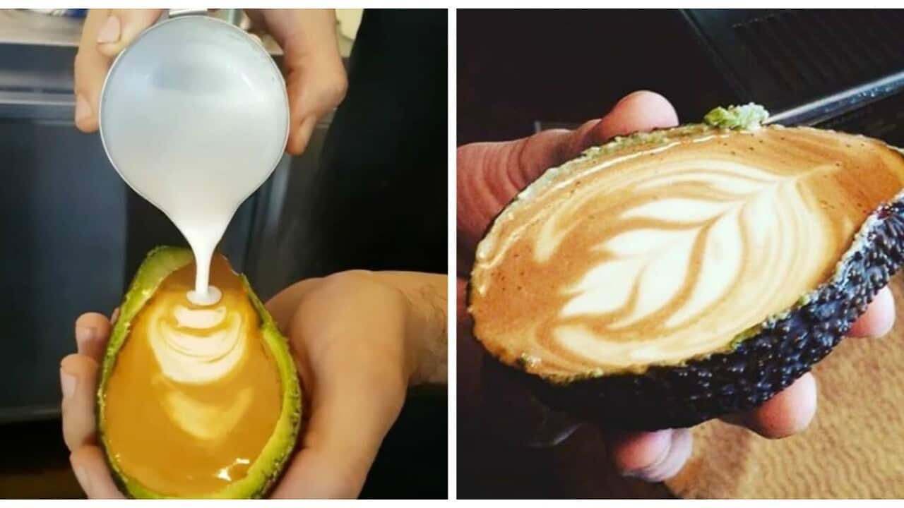 Melbourne cafe gives the world the 'Avolatte' SBS Food