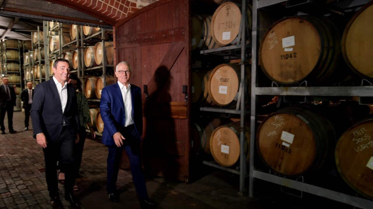 South Australian premier Steven Marshall and Malcolm Turnbull at a vineyard