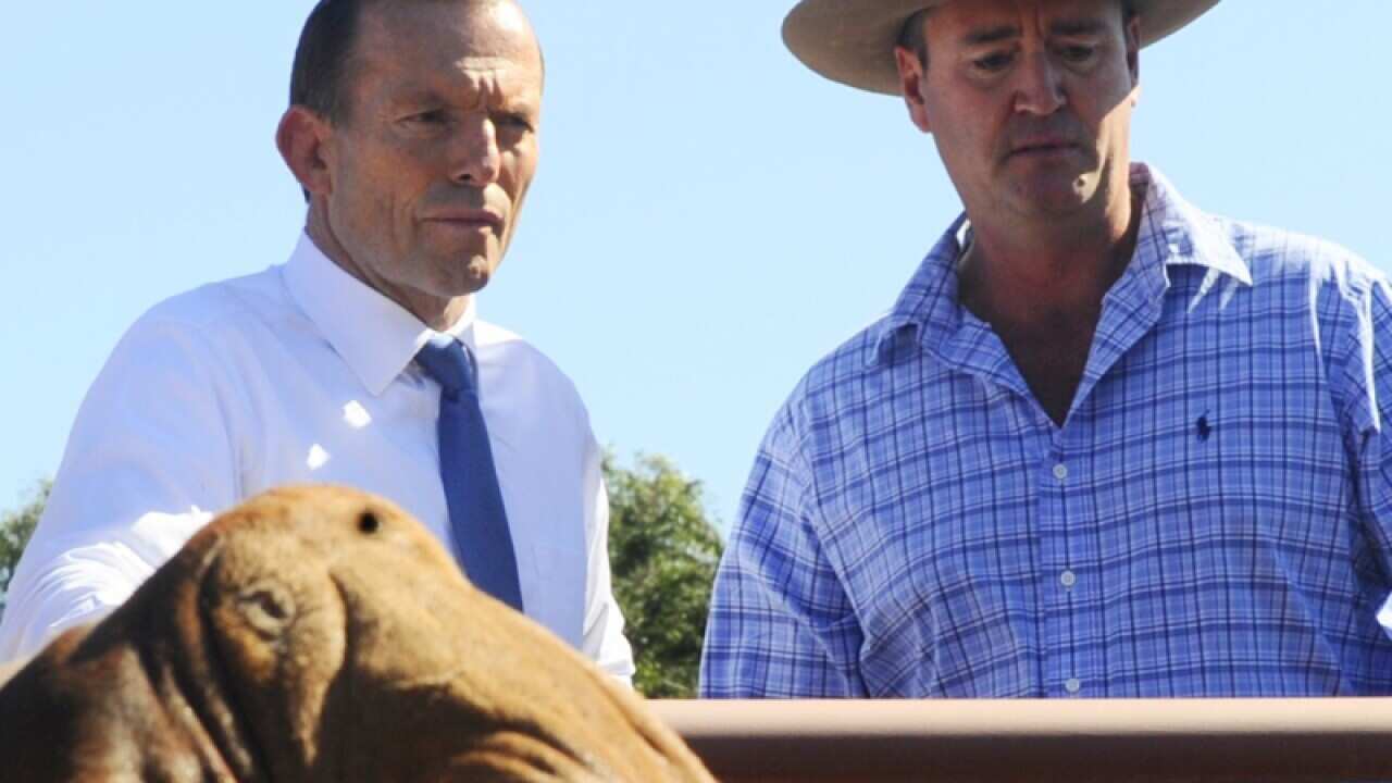 Coalition Leader Tony Abbott