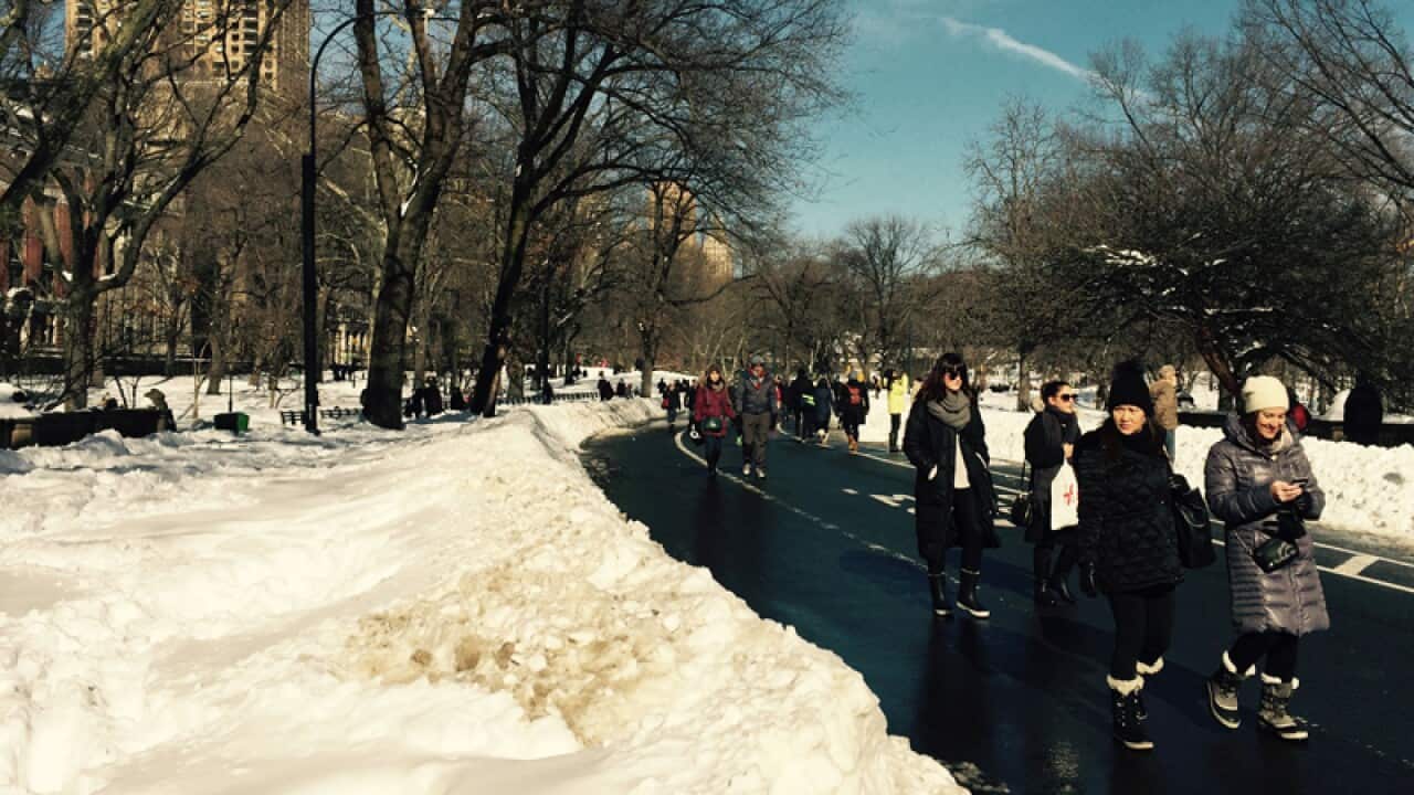 A snow covered Central Park in New York City.