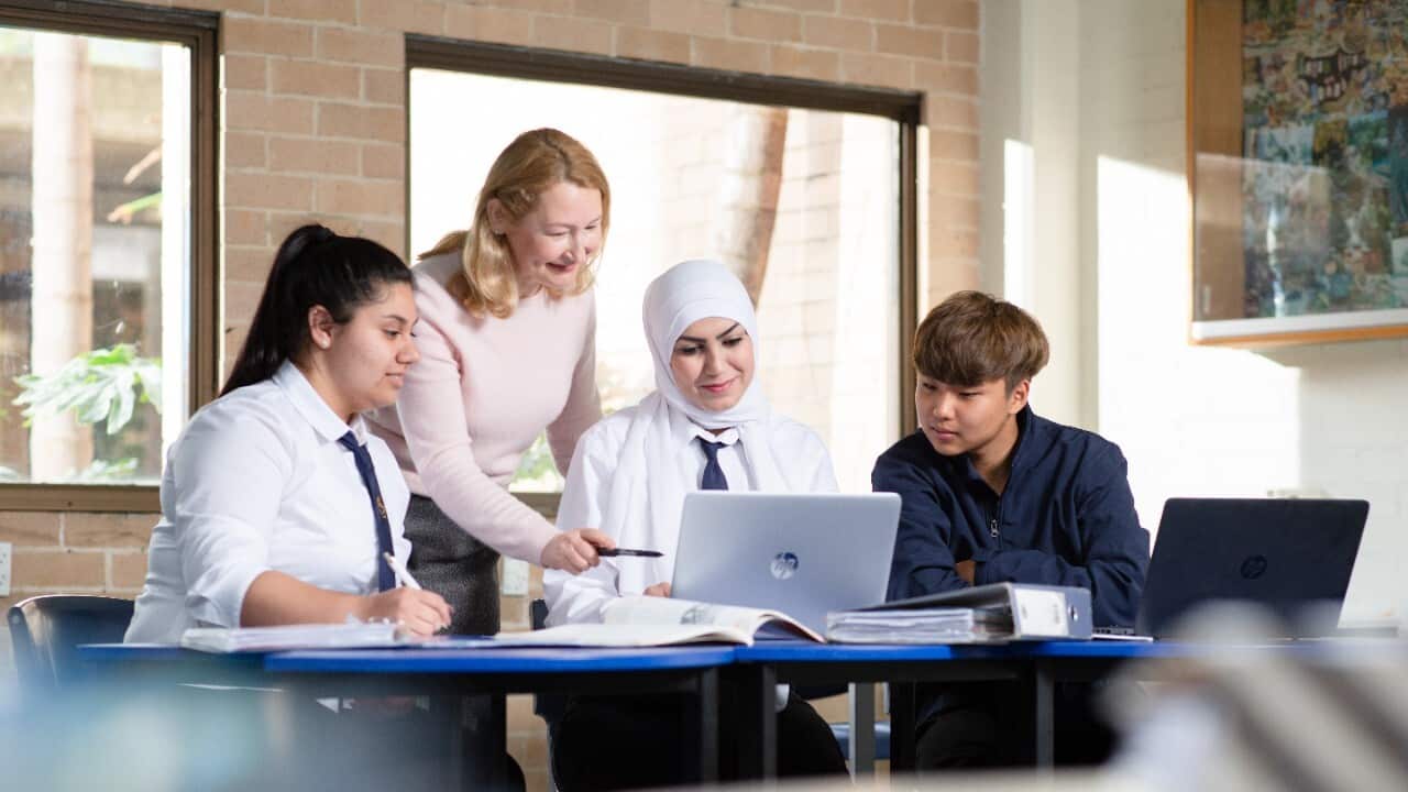 Government will diversify international student market