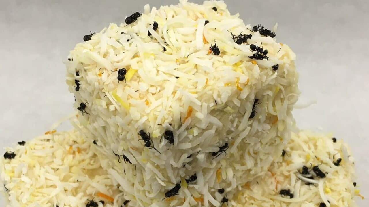 Image for read more article 'READ MORE'