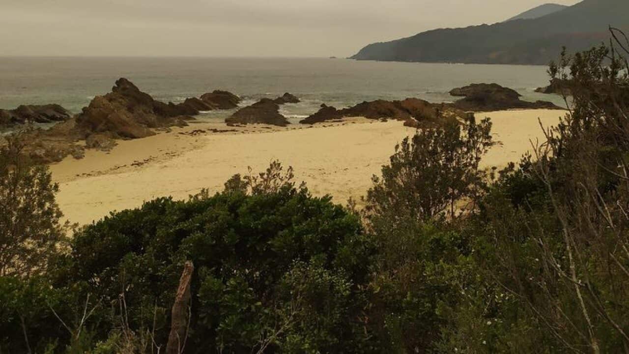 Forster en Nouvelle-Galles du Sud.