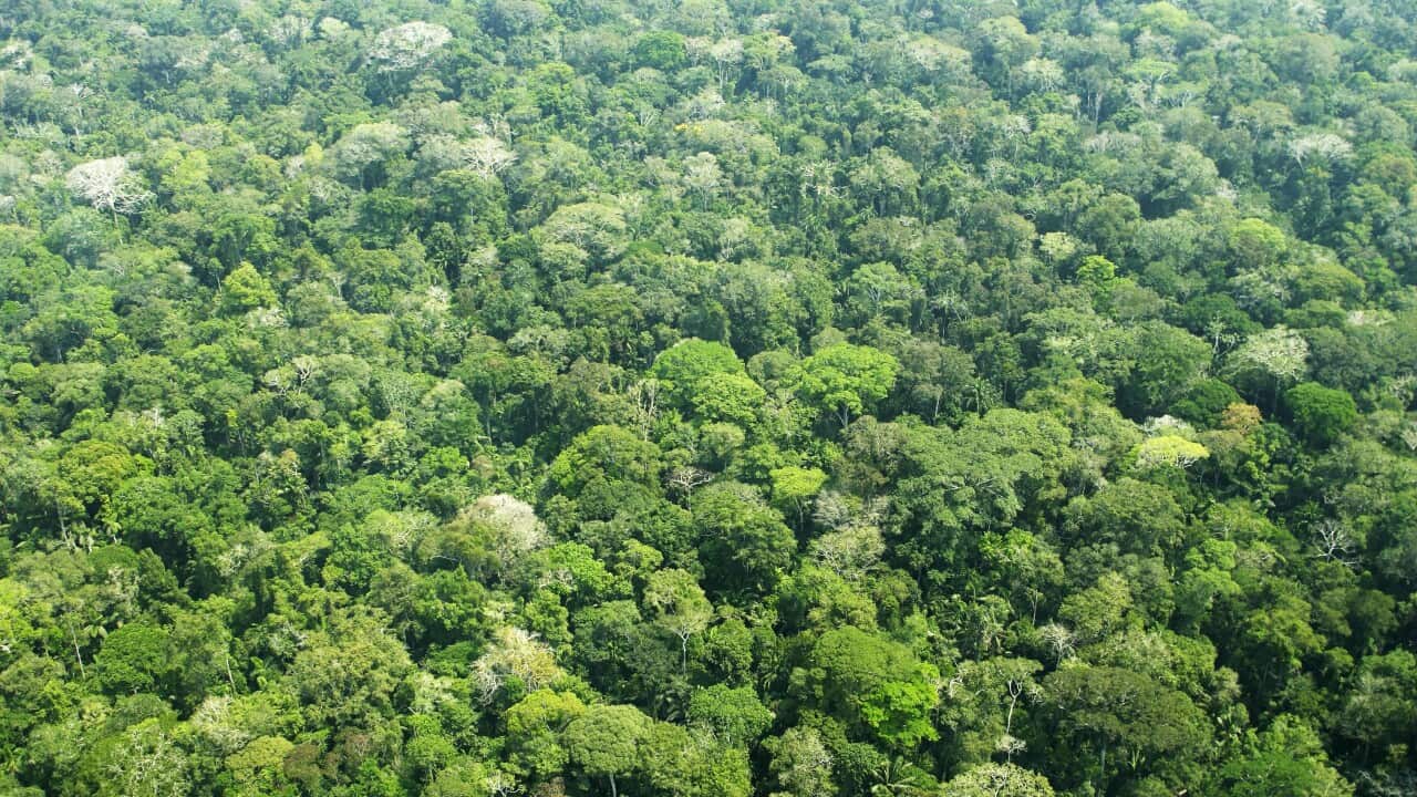 Seven cases of COVID-19 have now been confirmed across three states in the Amazon.