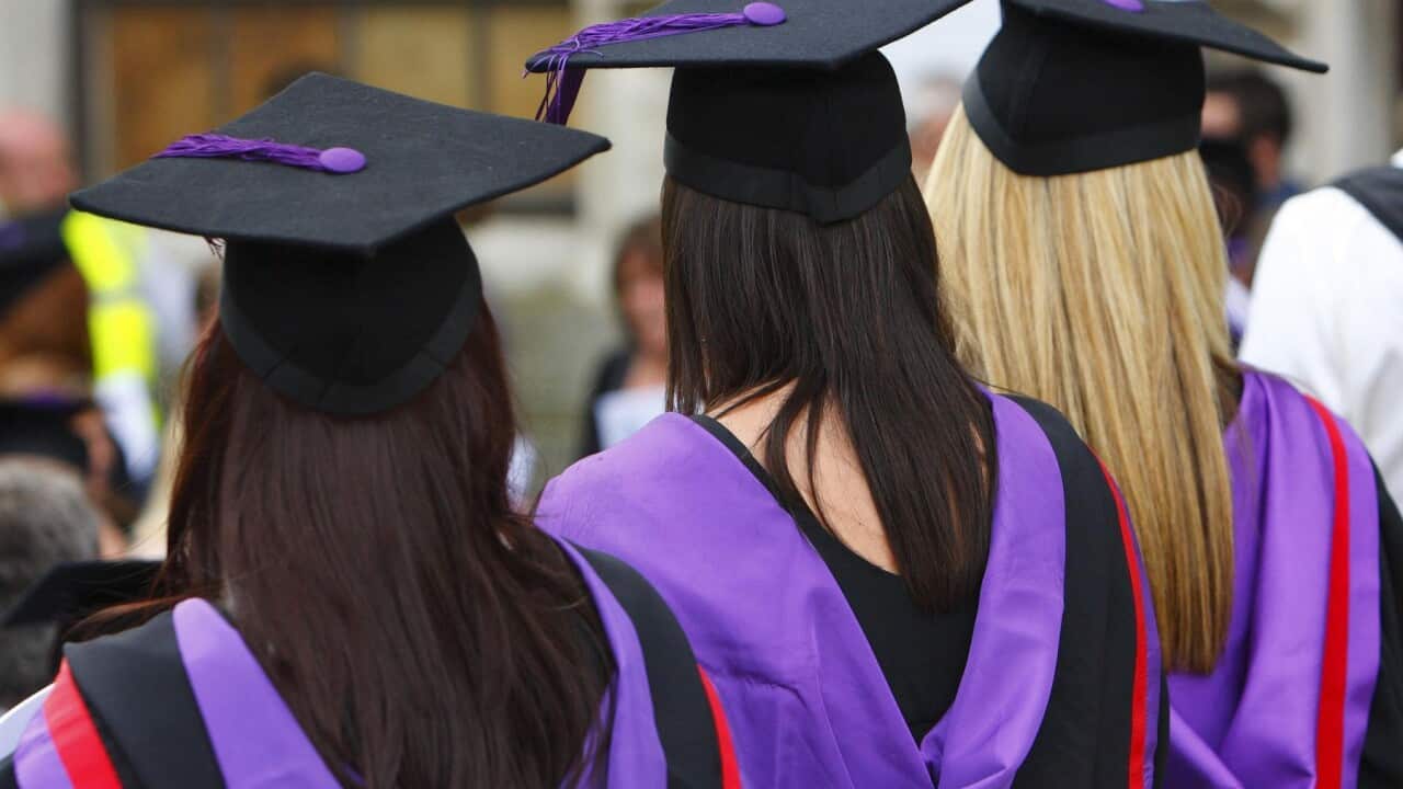 A survey shows international students are commonly exploited