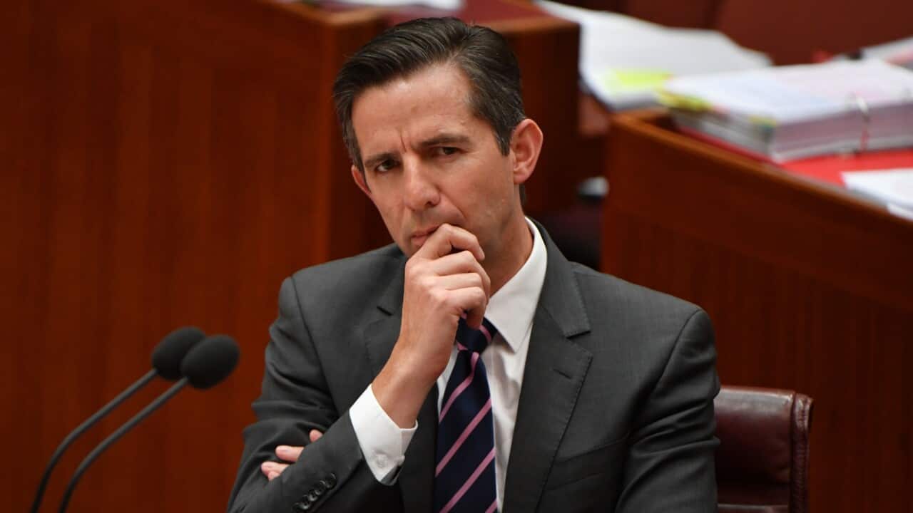 Minister for Finance Simon Birmingham during Question Time in the Senate chamber at Parliament House in Canberra, Monday, February 22, 2021. (AAP Image/Mick Tsikas) NO ARCHIVING