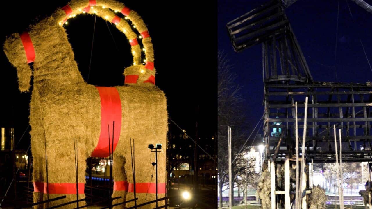 Swedish Christmas goat engulfed in flames SBS News