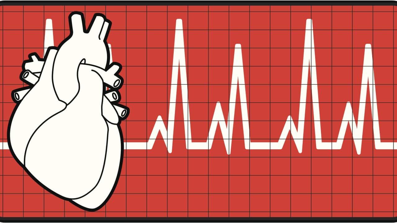 Image for read more article ''