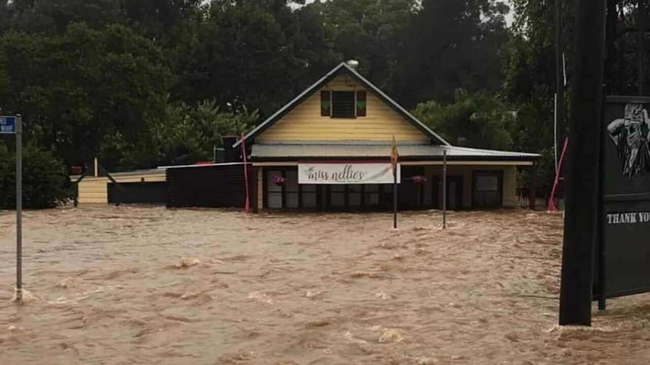 A cafe in Kendall, NSW, inundated by floodwaters.