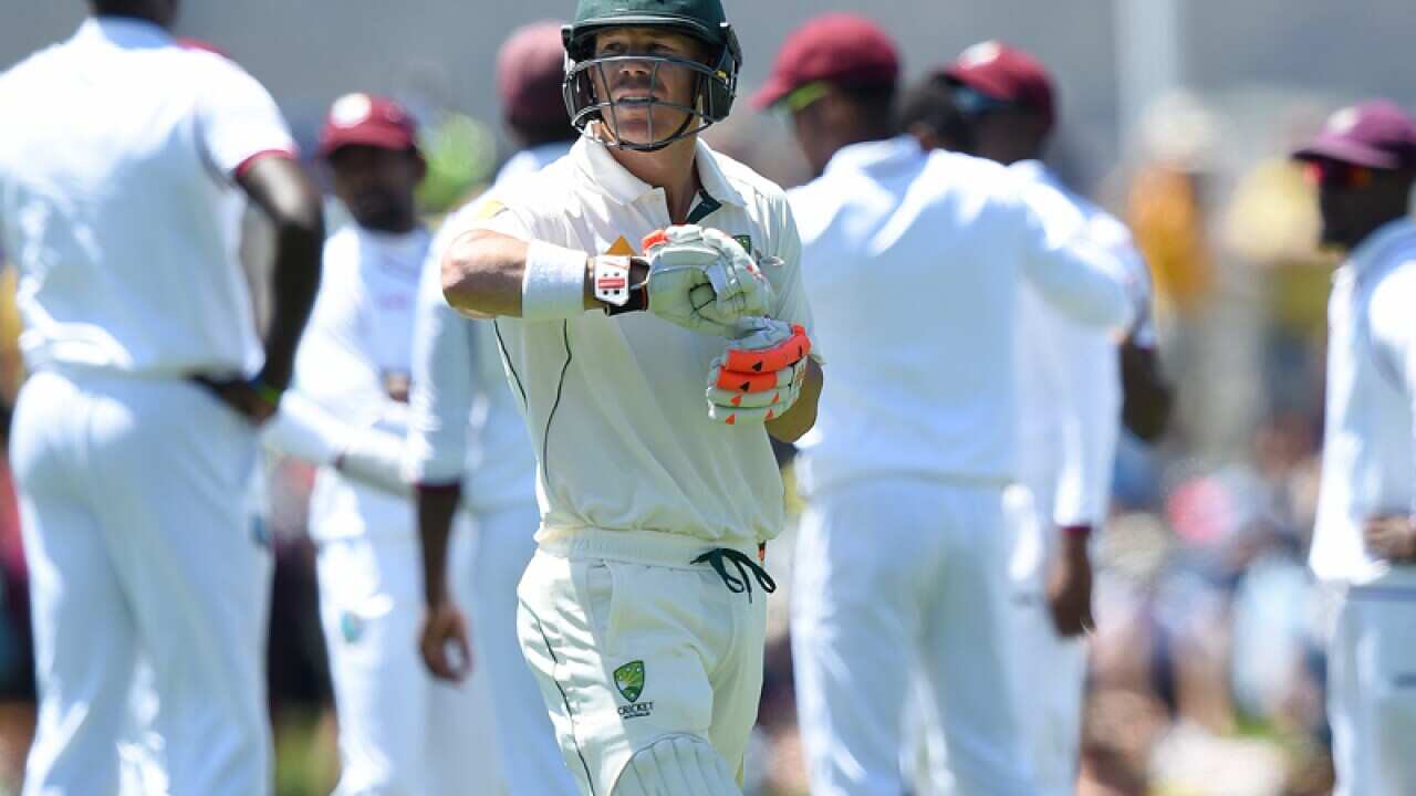 Australian batsman David Warner leaves the field