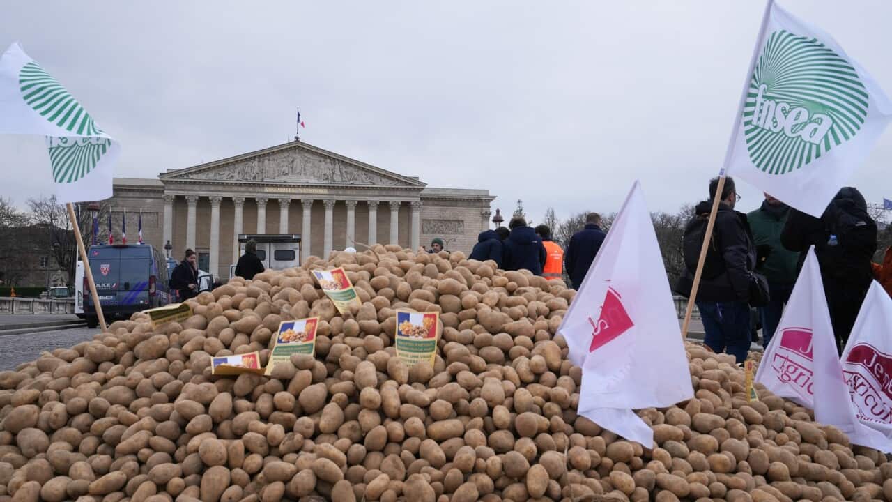 French Farmers Protest the European Union and Mercosur Free Trade Deal