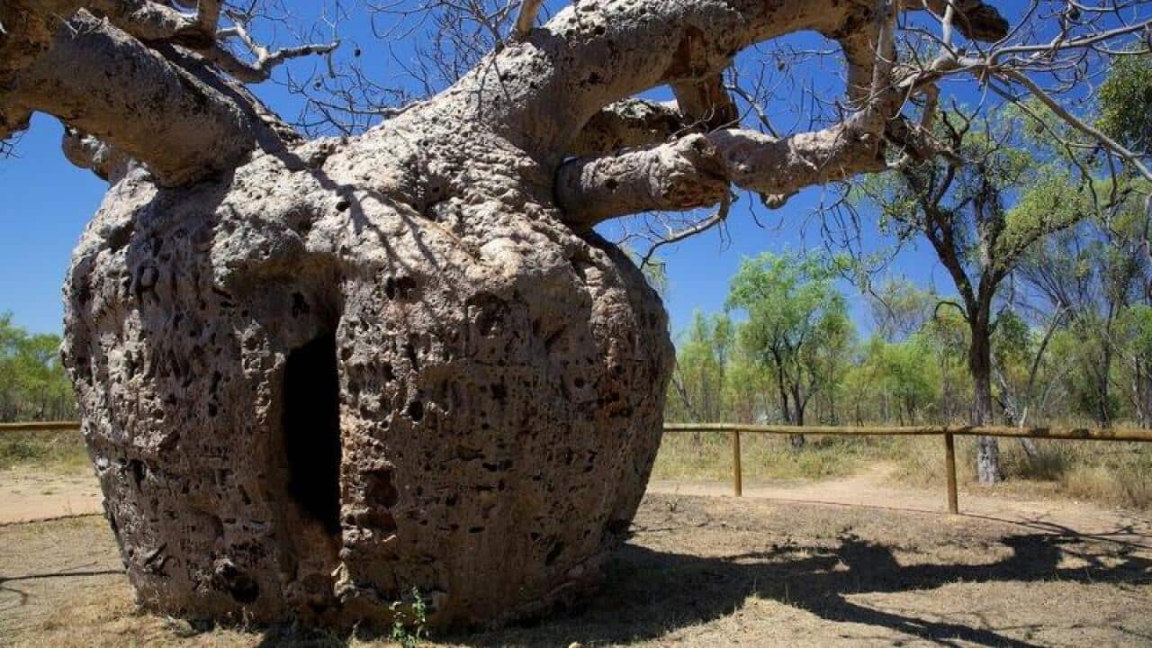 Image for read more article ''