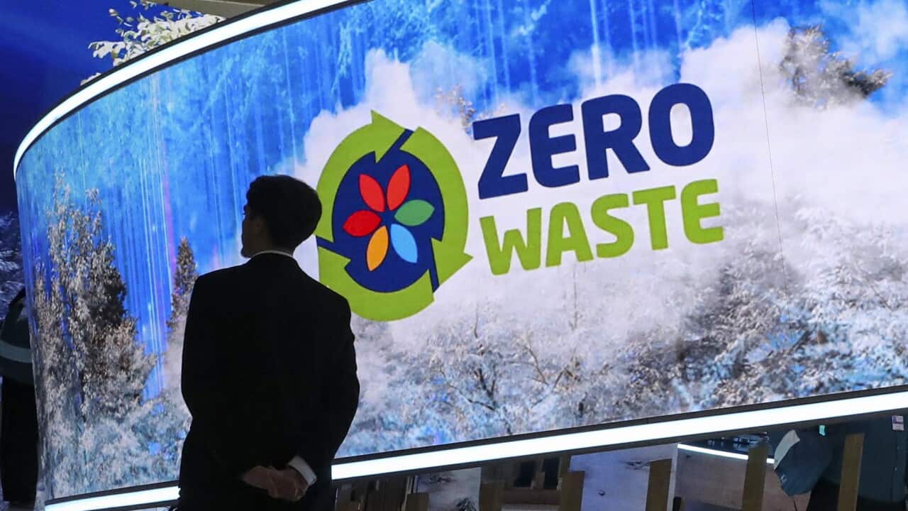 UN Climate Change Conference COP29