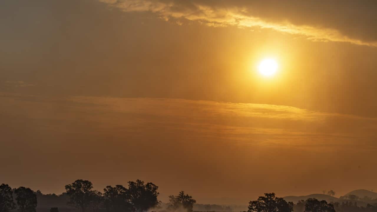 A blazing sun hangs low over a hazy Australian landscape during extreme heat.