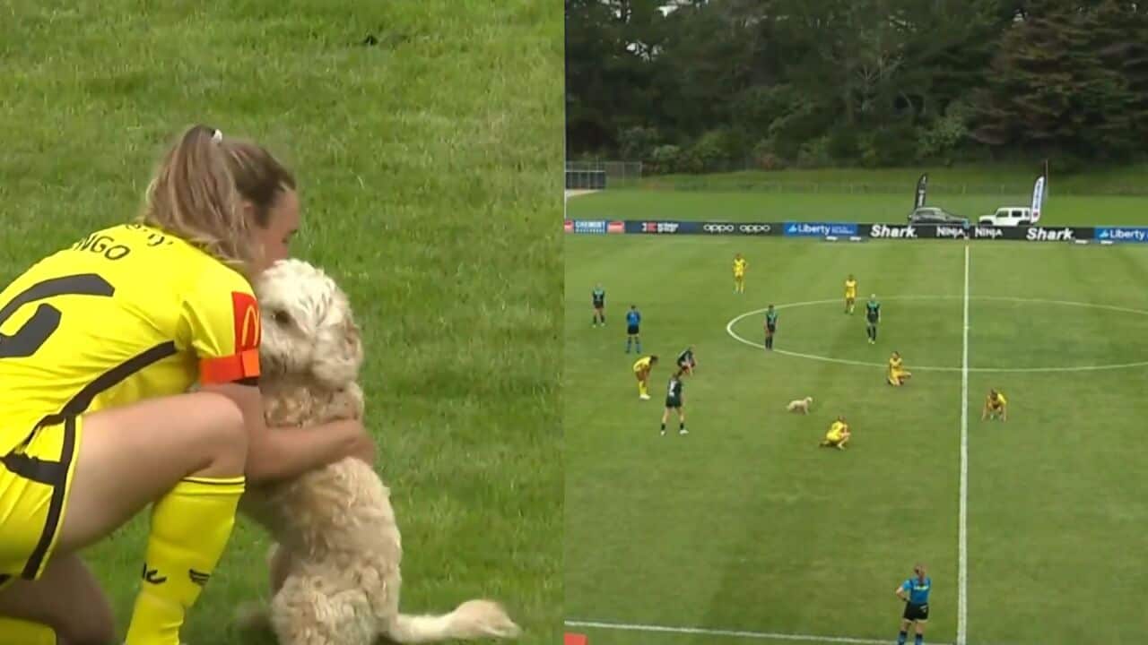 Image for read more article ''