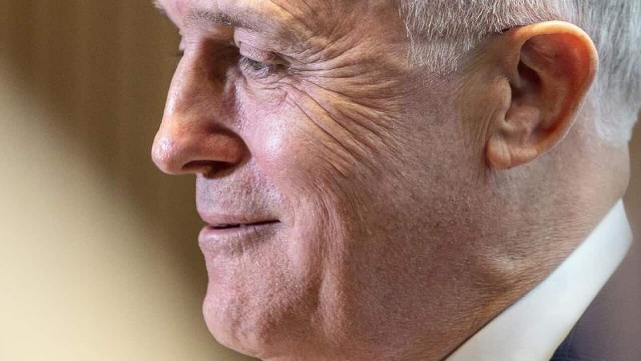 Malcolm Turnbull has backed the LNP candidate.