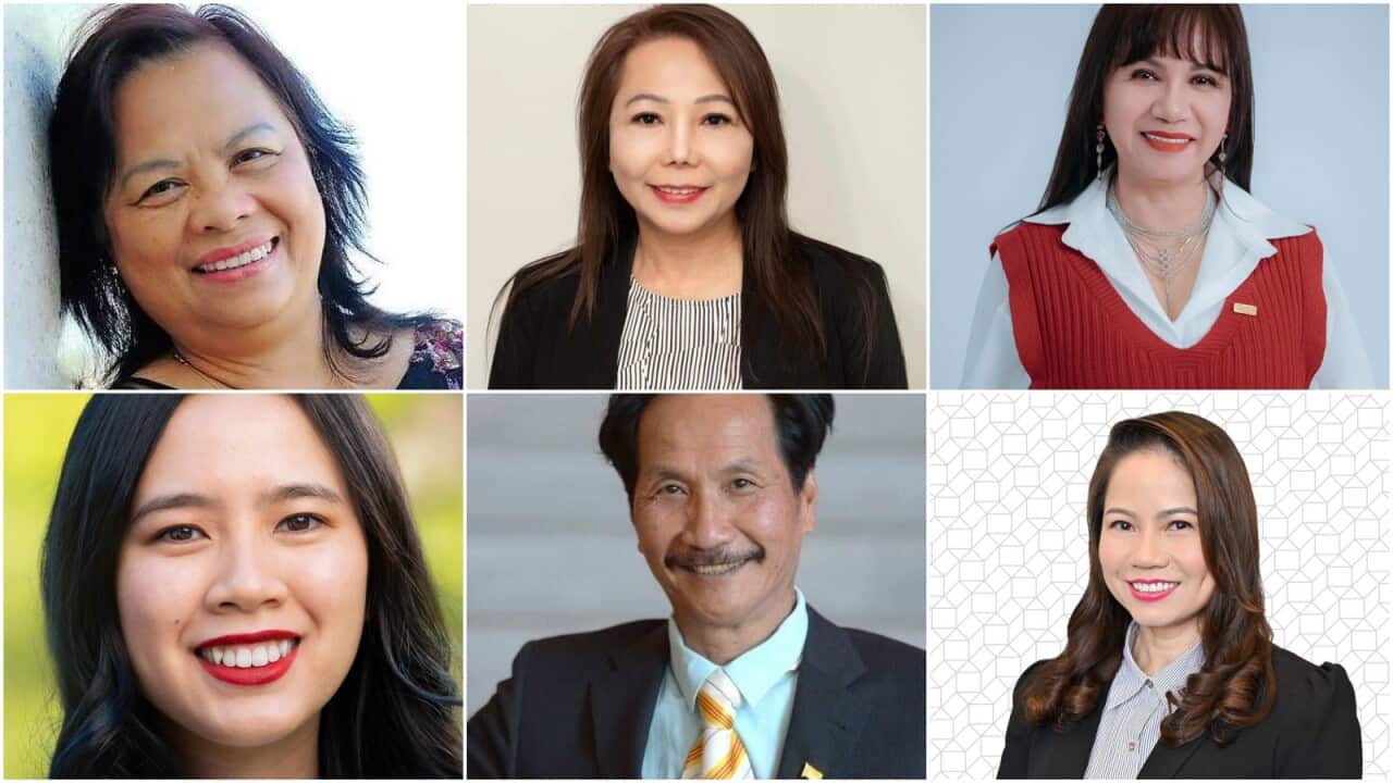 Victoria city council candidates 2024.jpg