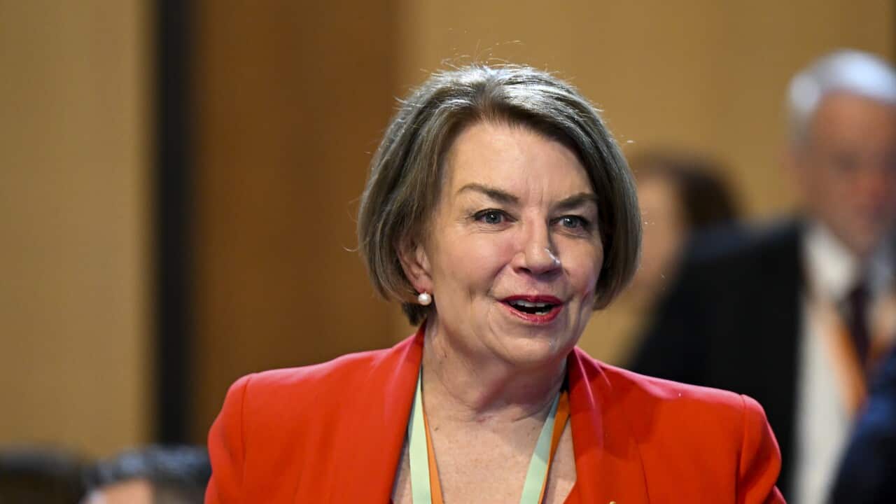 The Chief Executive of the Australian Banking Association, Anna Bligh