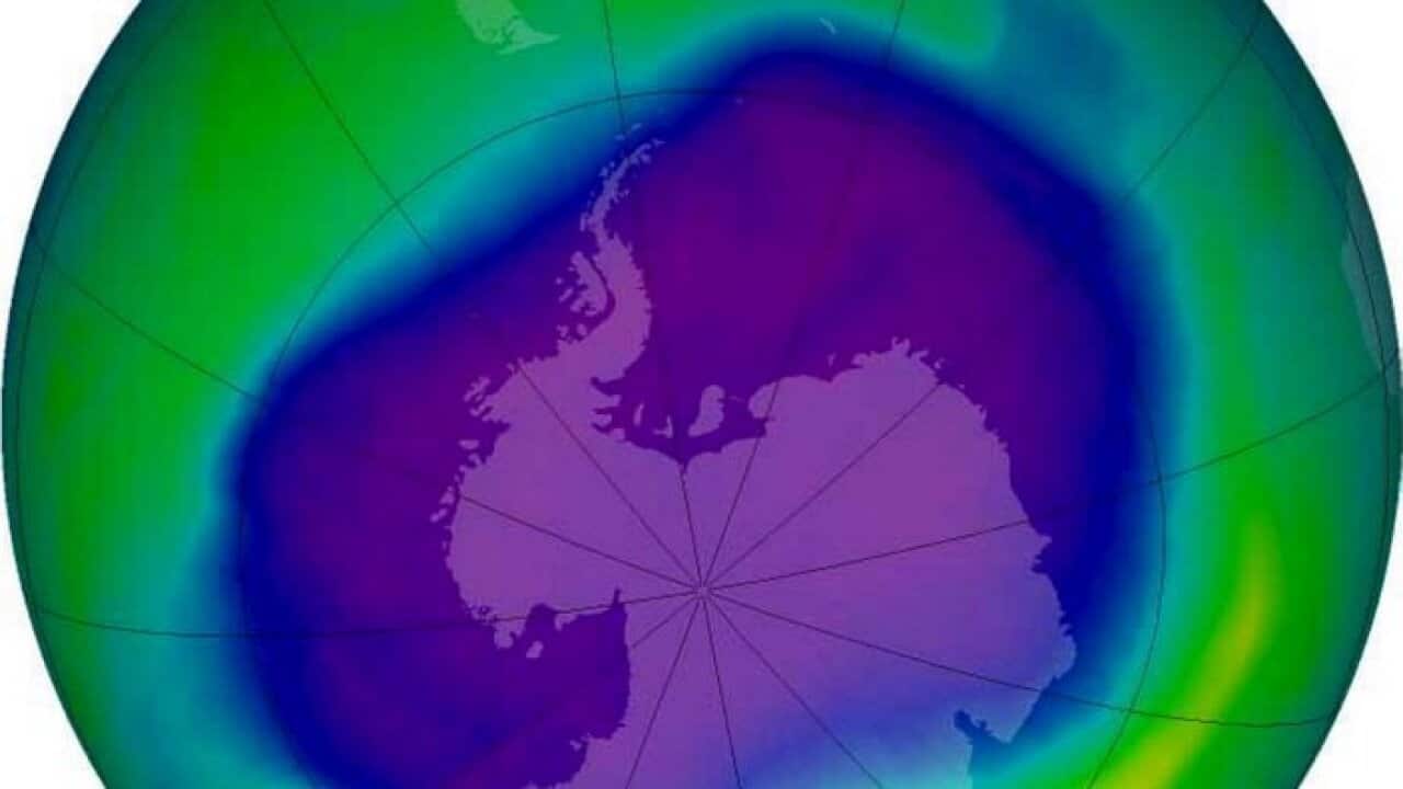 Environment