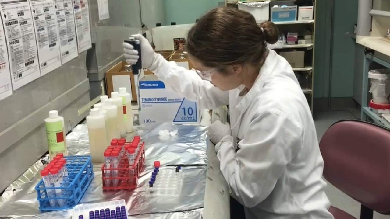Testing waste water samples
