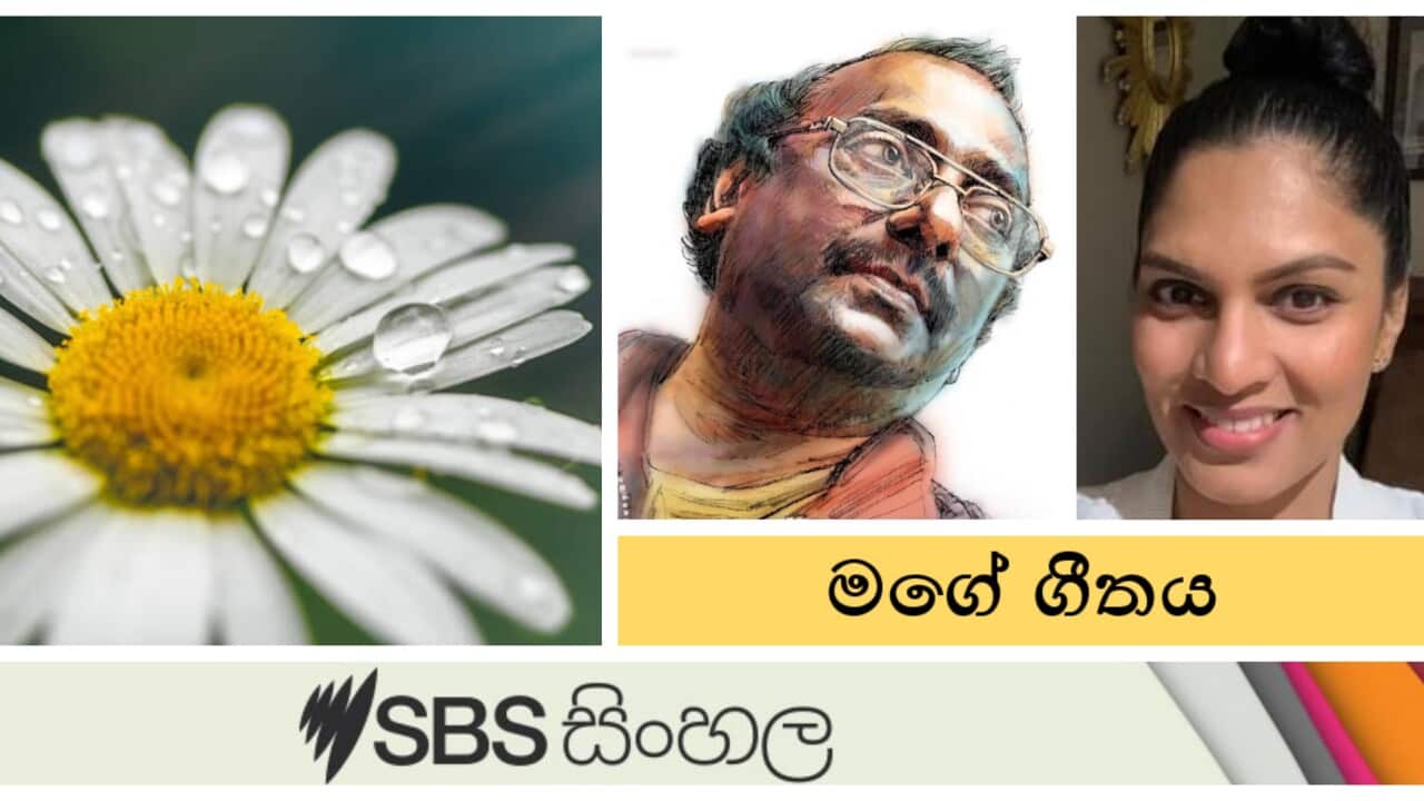 My song - Oct 2023 Program