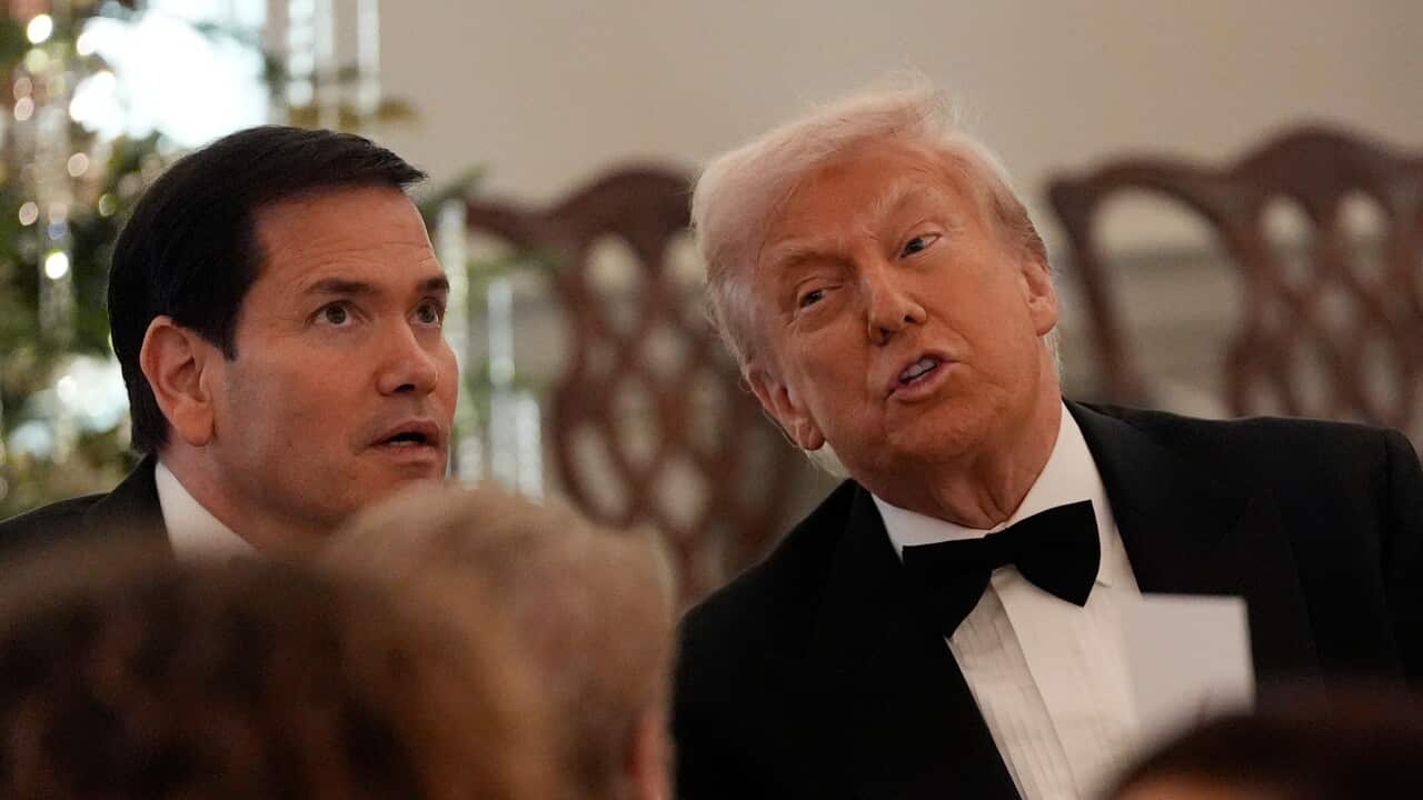 Trump Kennedy Center Honors