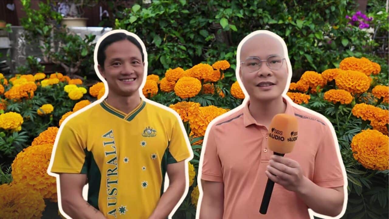 Hai anh em Hiển và Hoàng của vườn hoa Happy Bonsai Sydney.jpg