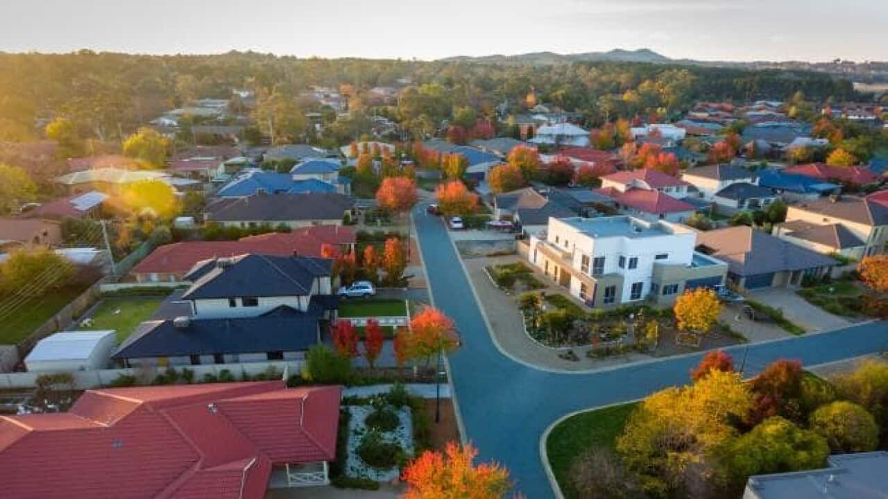 Image for read more article 'READ MORE'