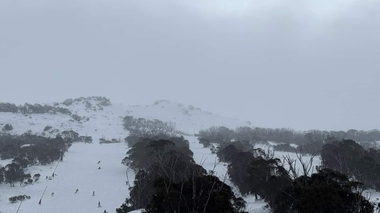 Image for read more article '更多內容'