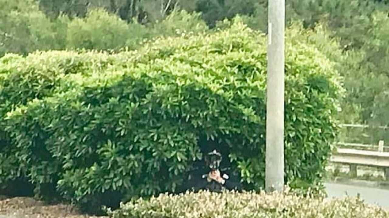 Image for read more article 'READ MORE'