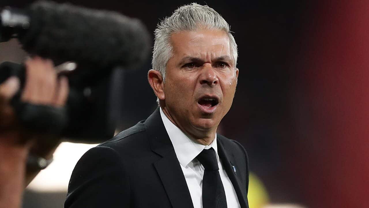 Sydney FC coach Steve Corica
