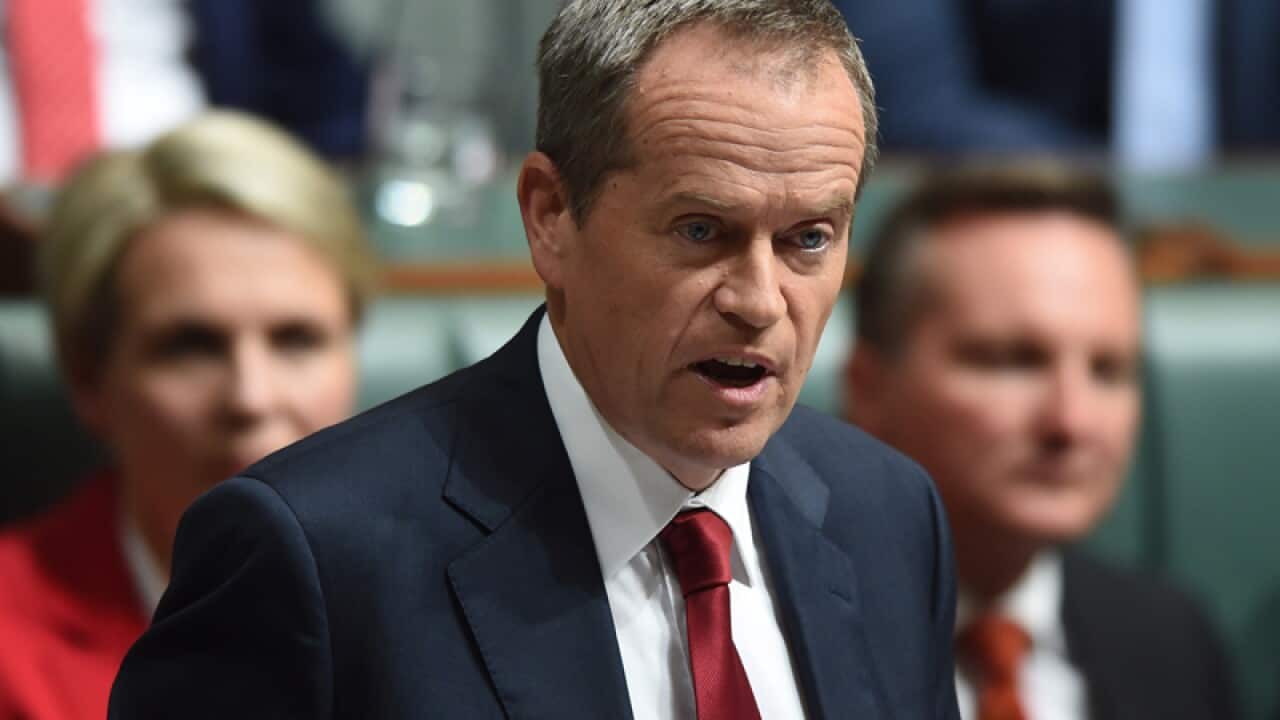 Opposition Leader Bill Shorten