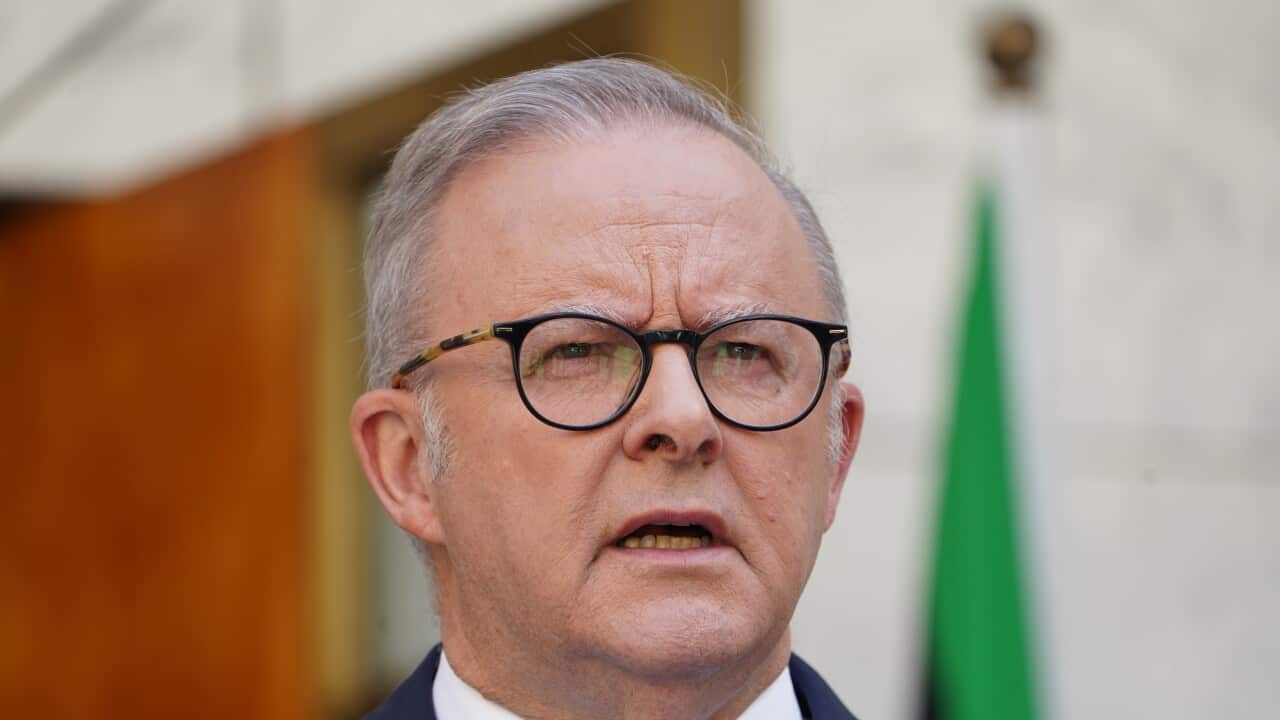 Bondi heroes to be recognized on special honors list, Albanese announces Bondi heroes to be recognized on special honors list, Albanese announces