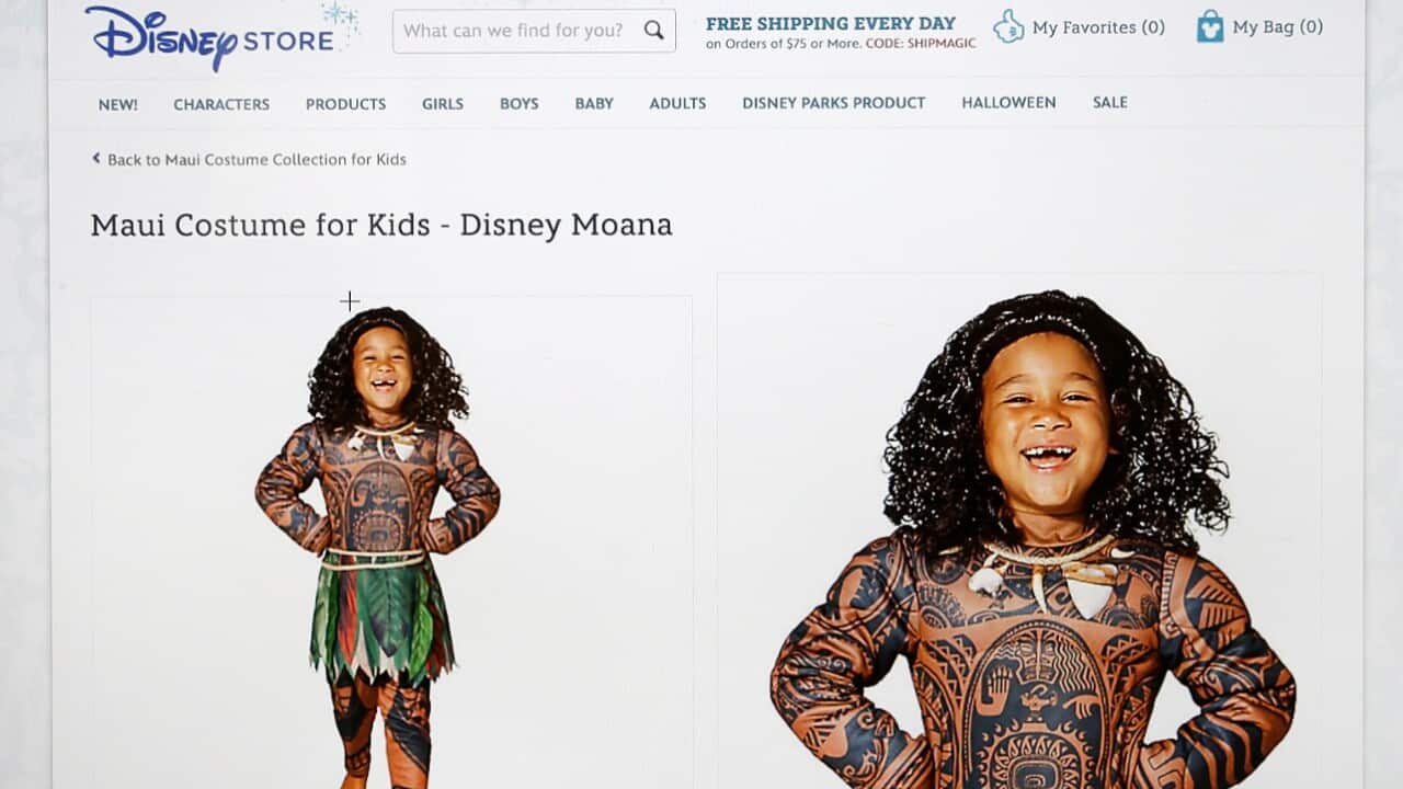 his photograph of a computer screen shows the DisneyStore.com website's Maui Halloween costume 