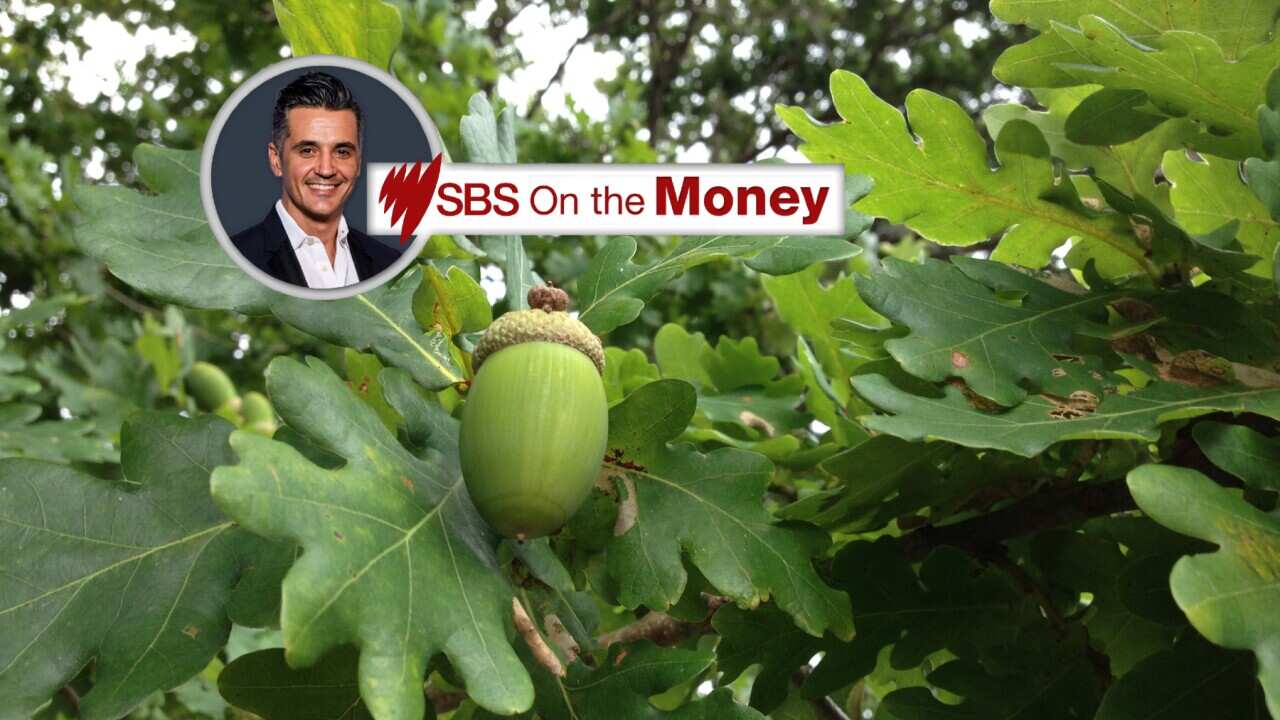 SBS On the Money growth