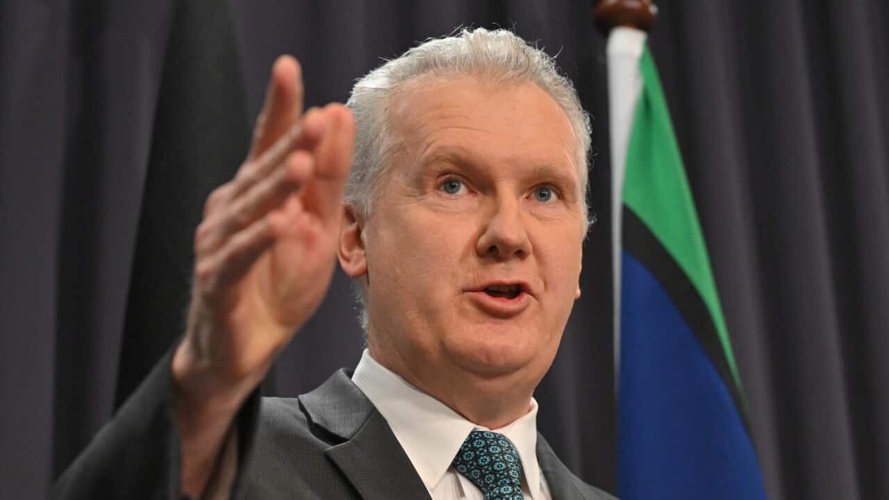Minister Tony Burke gestures as he speaks in front of a black curtain and Torres Strait Islands flag. He is wearing a black suit.