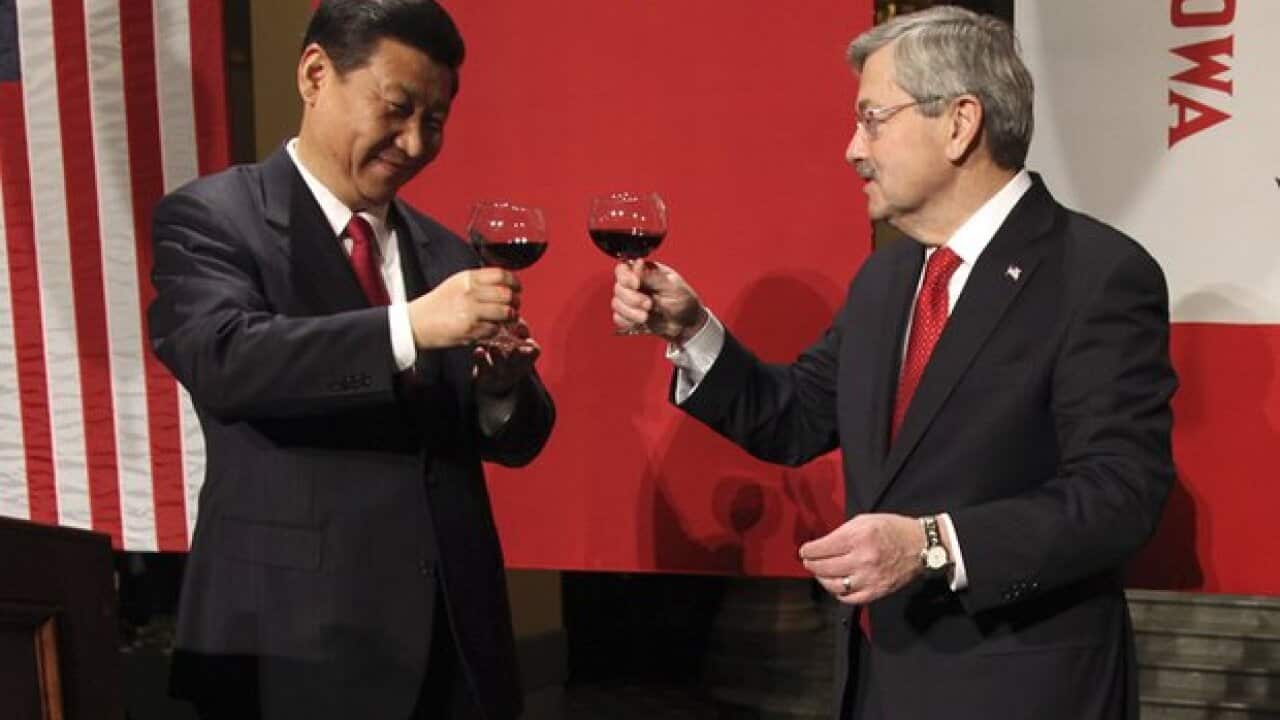 特朗普提名习近平“老朋友”任驻华大使| SBS Chinese