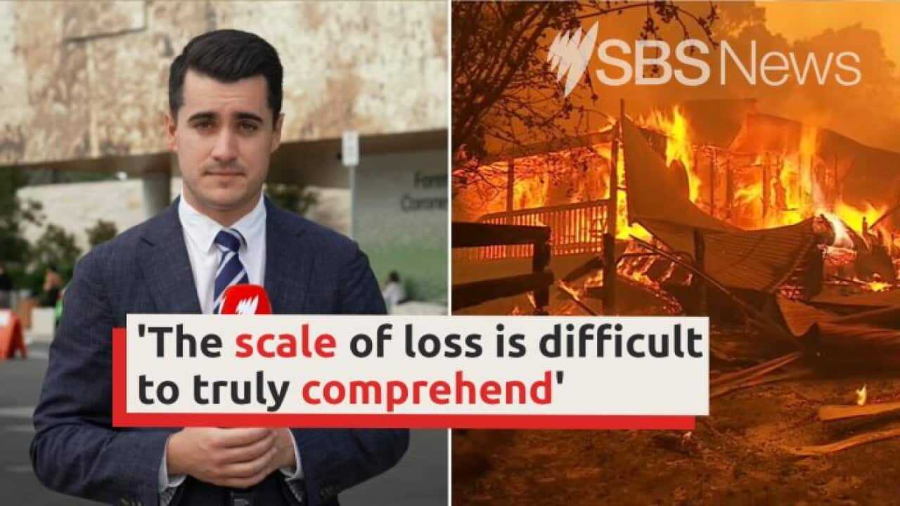 NSW Coroner calls for overhaul after Black Summer bushfires I SBS News ...