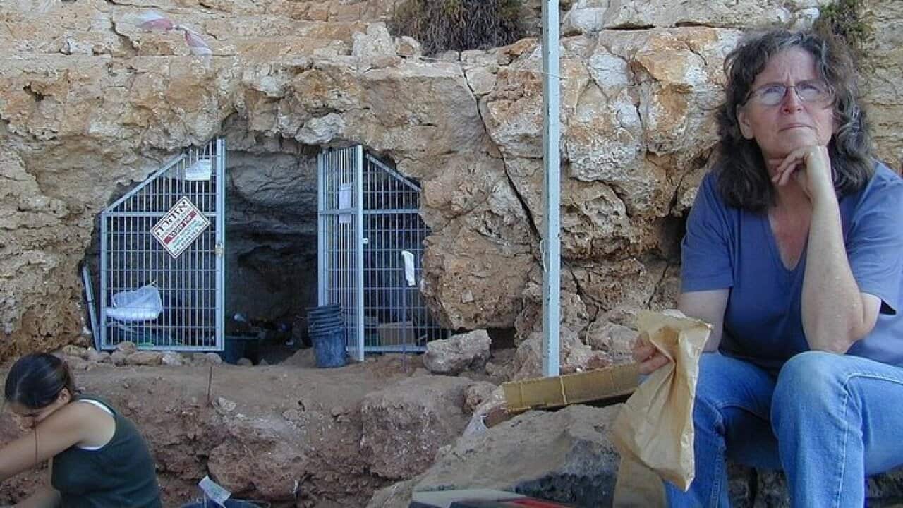 Prof Mina Weinstein Evron