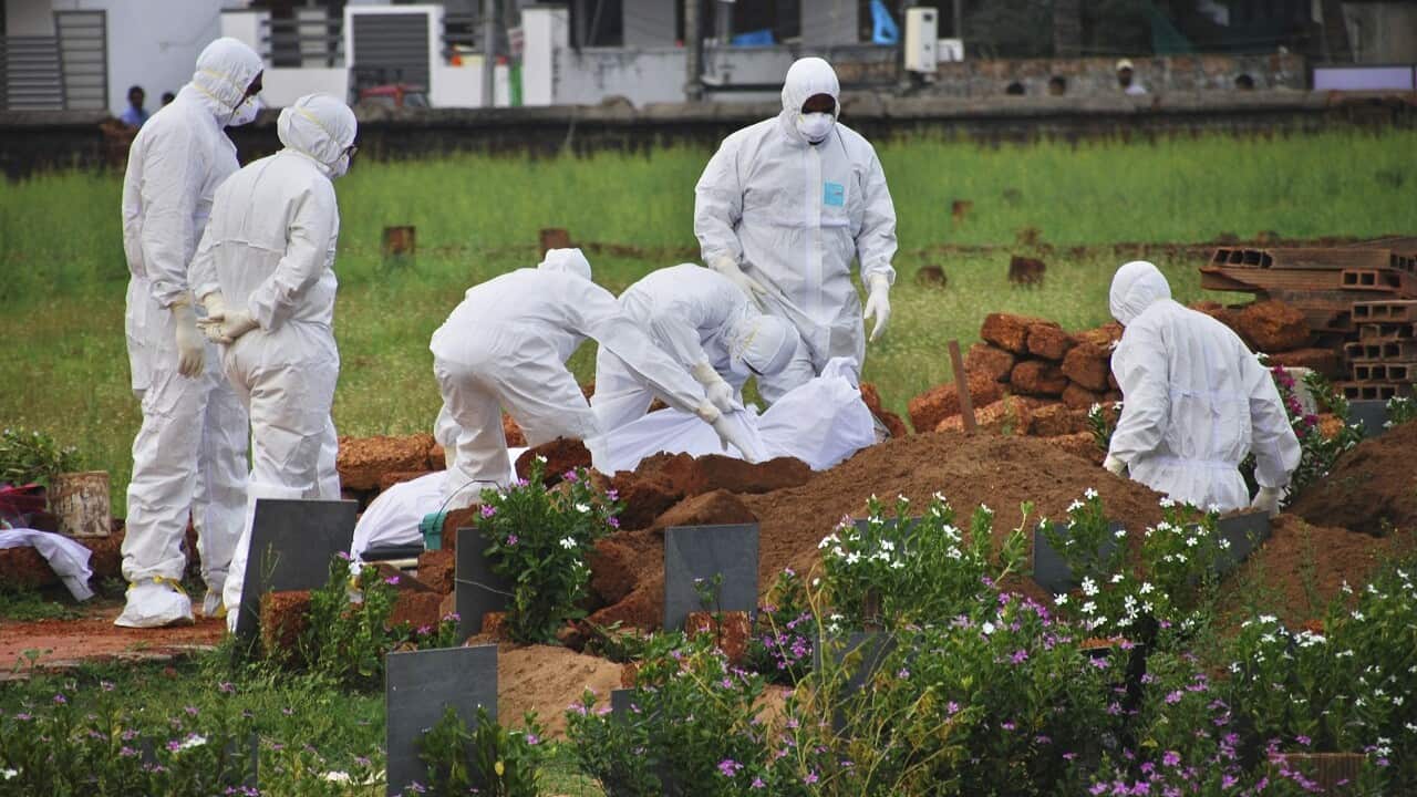 Australia offers support to India to fight Nipah virus