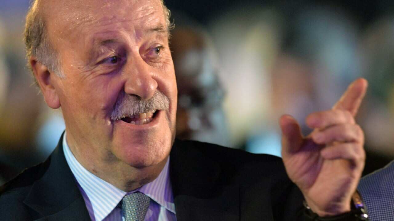 Spain's coach Vicente del Bosque at the World Cup final draw