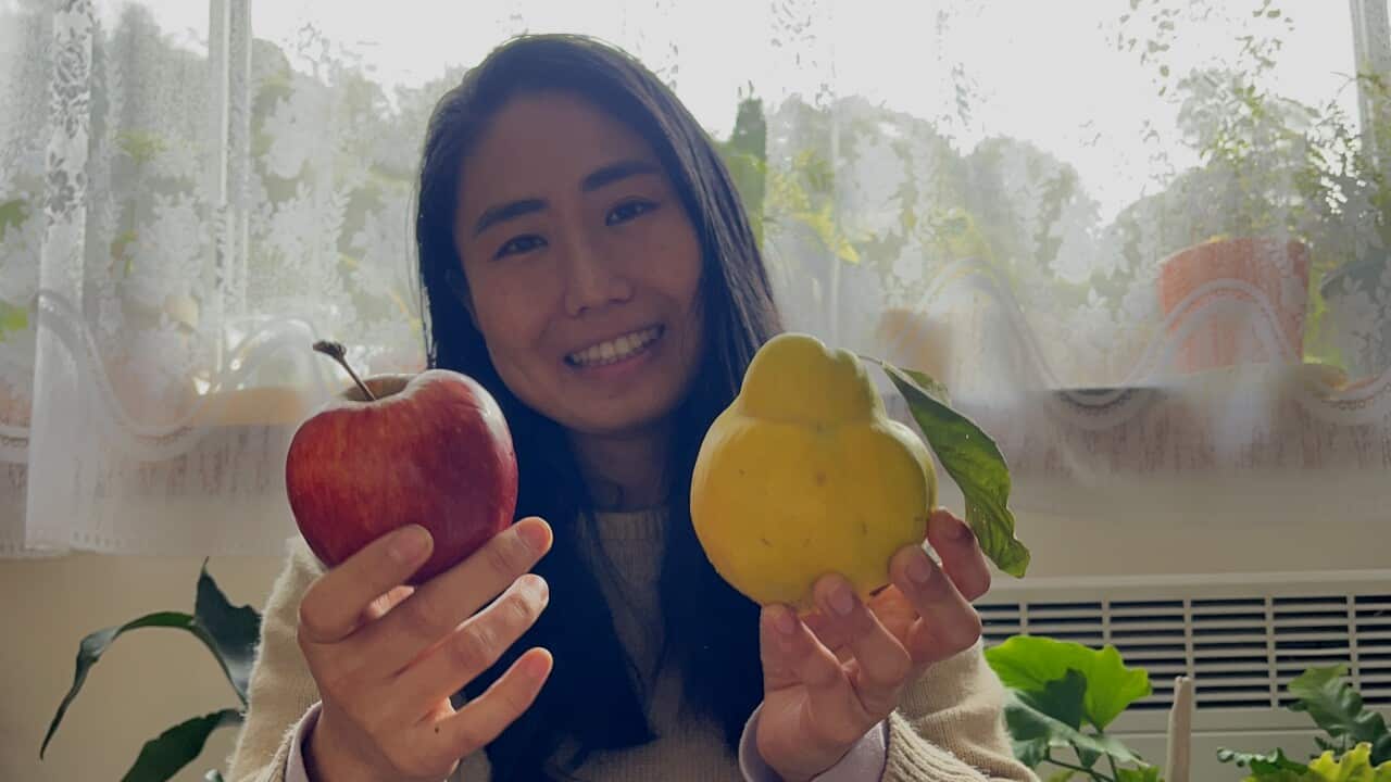 Mayumi Horikawa Quince .jpg.jpeg