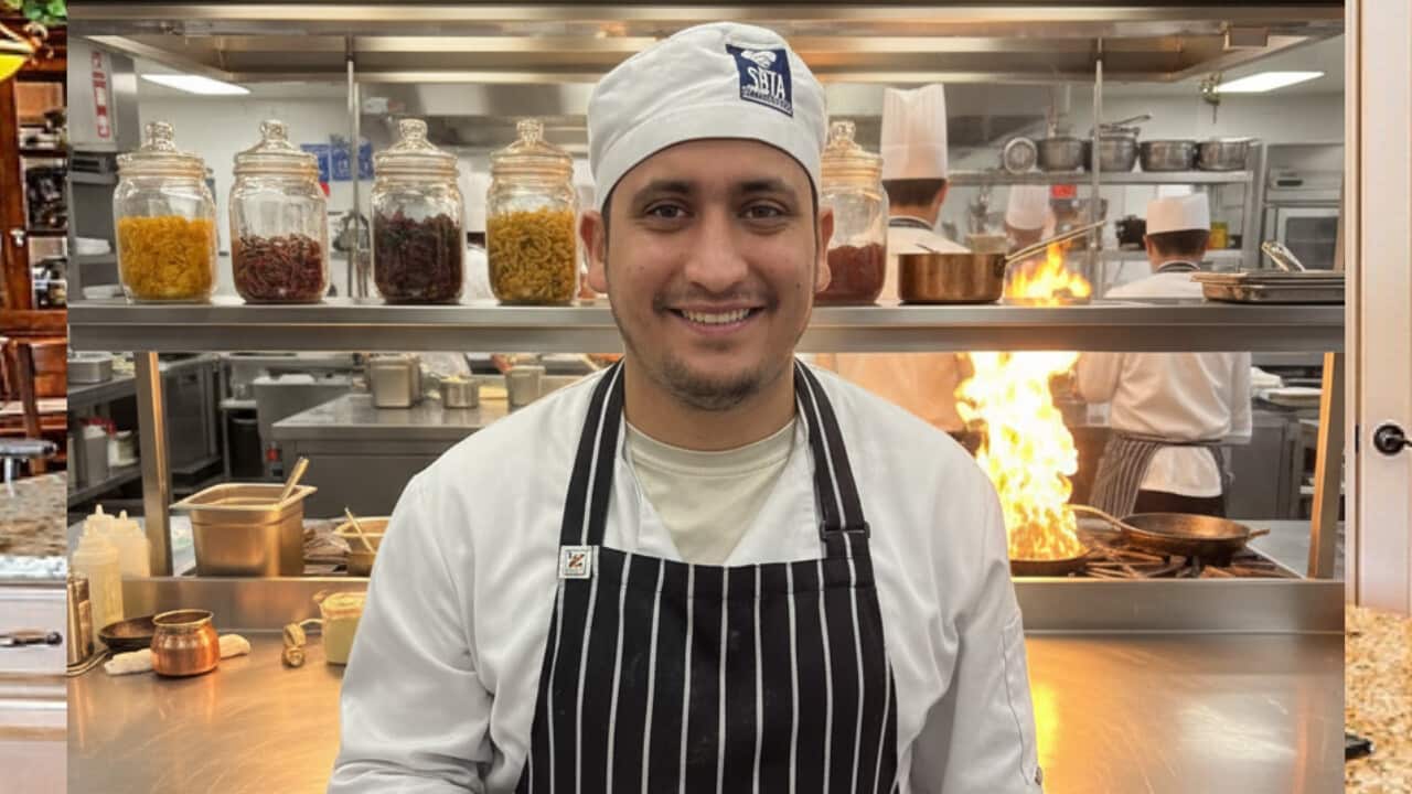 Copy of Copy of Copy of ALC ELEX 25 YT TEMPLATE.png