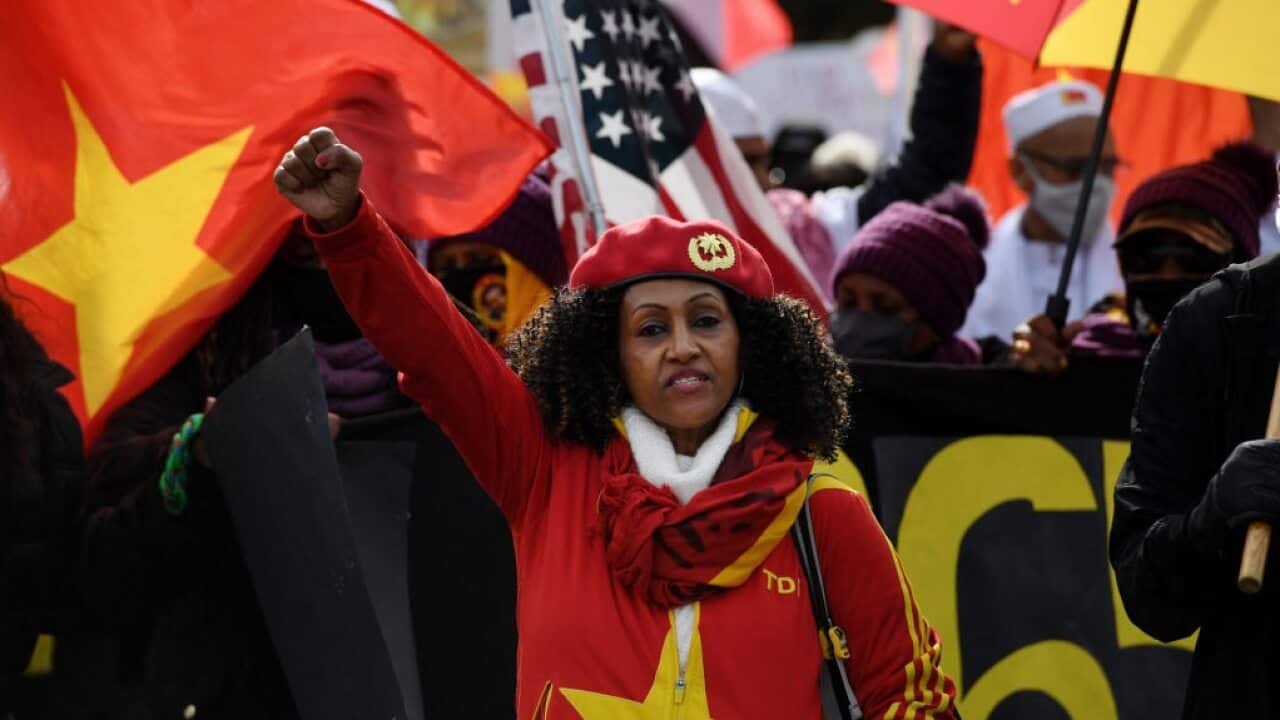 Demonstrators with Tigray flags and posters march on the National Mall in Washington, DC on 4 November, 2021.
