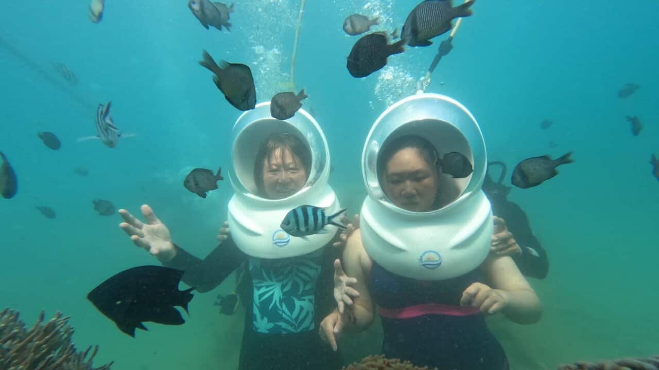 Image for read more article 'Đọc thêm'