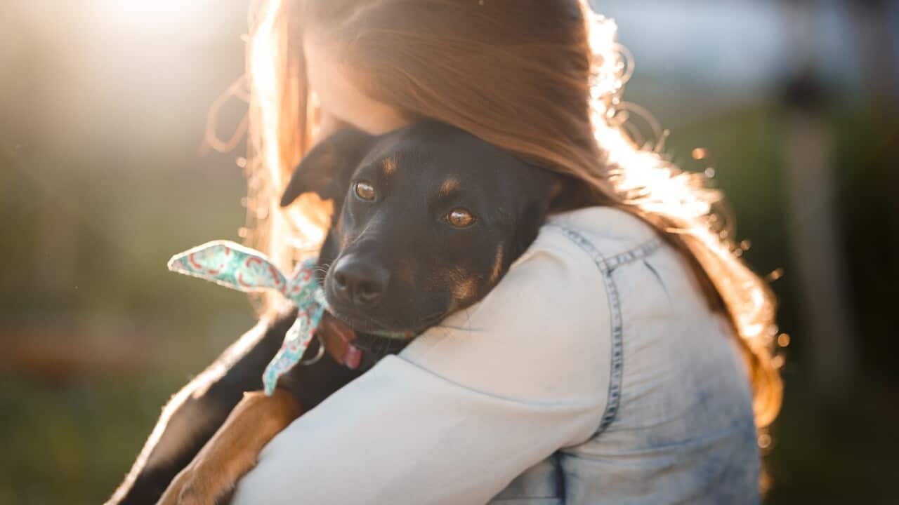 Adopting Pets Australia