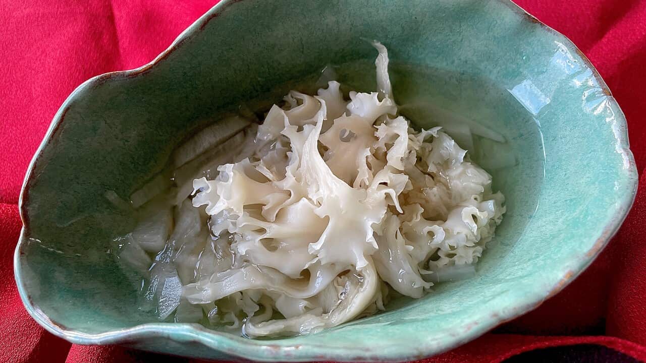 Petal Matitake２.jpg