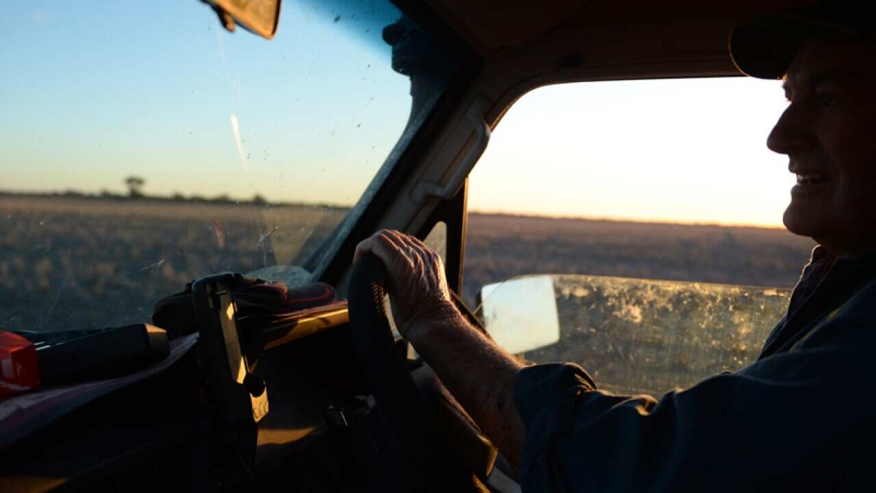 A farmer drives his ute, stock image