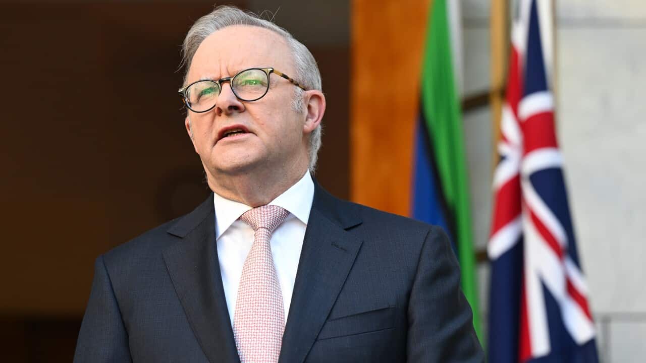 Prime Minister Anthony Albanese, wearing a suit, tie and glasses, is speaking.